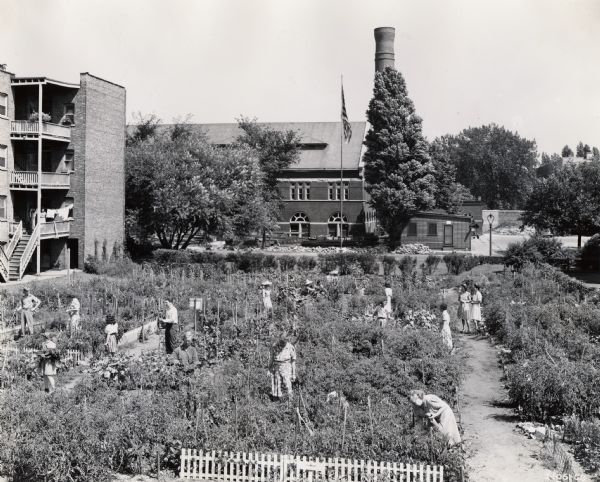 Elevated view of men and women working in a large garden behind what appears to be an apartment building.