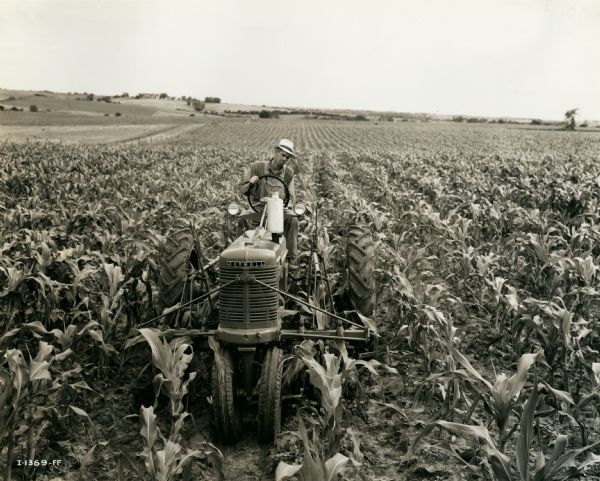 John W. Thompson riding a Farmall tractor through a 47-acre cornfield on the 120-acre farm of his father, J.D. Thompson.