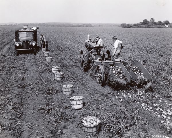 Slightly elevated view of Louis Finn and his five sons and three daughters working on their 150-acre potato farm with a Farmall tractor, a potato digger and a truck.