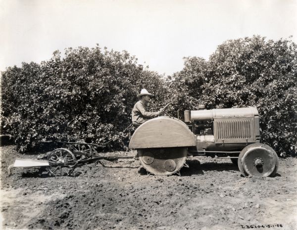 John Niles operates a McCormick-Deering 10-20 tractor in a grapefruit orchard.
