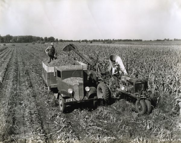 The McMurchie brothers working with a Farmall F-20(?) tractor, an International truck, and an ensilage cutter in a 250 acre cornfield on their 880 acre farm.