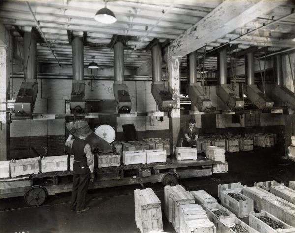 Factory workers pack small metal parts into wooden crates using a conveyor belt and scale at West Pullman Works.