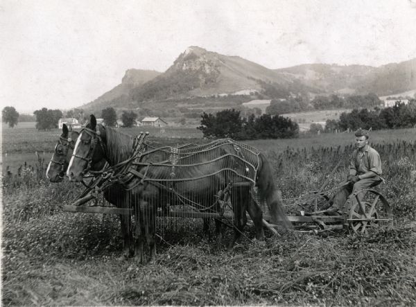 A man is using two horses to pull a mower through a field of clover. In the background are hills or mountains.