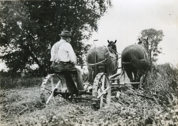 Rear view of a man sits operating a horse-drawn mower in a field.