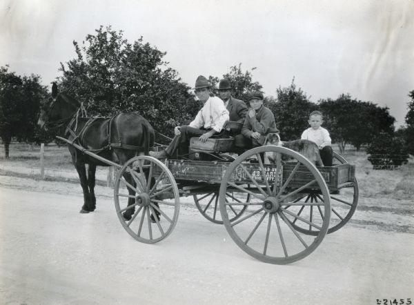 Two men, two boys, and a small dog sitting in a Weber wagon drawn by a mule.