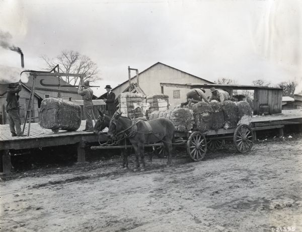 Men weigh(?) bales of cotton on a wooden platform, while other men load or unload bales onto a wagon drawn by mules.