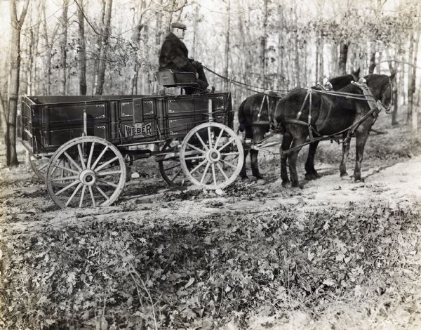 A man wearing a fur coat drives two mules pulling a Weber wagon through a road in a forest.