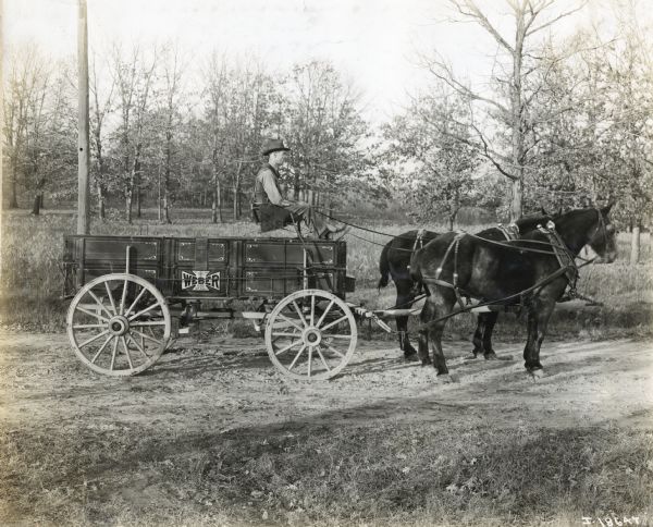 A man drives two horses pulling a Weber wagon through a wooded area. A telephone or electricity pole is on the left.