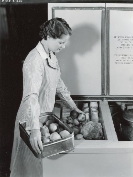 A woman wearing a striped smock puts apples from a tin into a 4-can combination wet and dry compartment milk cooler.  Also seen in the cooler are items such as pints of milk, butter, cream, and lettuce.  A portion of the other half of the cooler can been seen containing milk cans.