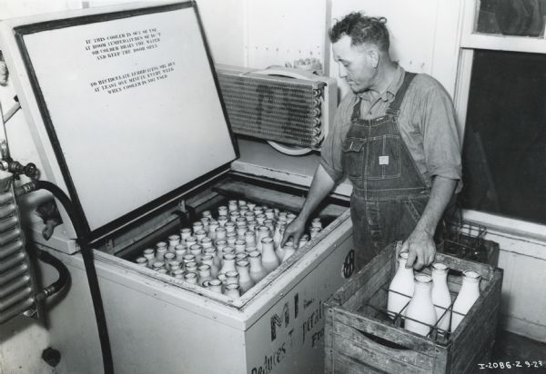 Tony Gildig takes milk bottles from a crate and places them into a McCormick-Deering 6-can milk cooler.  Some of the writing on the cooler is readable but worn and reads in part, "Milk Reduces Temperature Fro___".