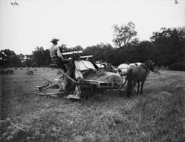 A farmer is harvesting grain using a McCormick grain binder pulled by two horses in a field. The platform of the binder holds a sheaf of grain along with unbound harvested grain.