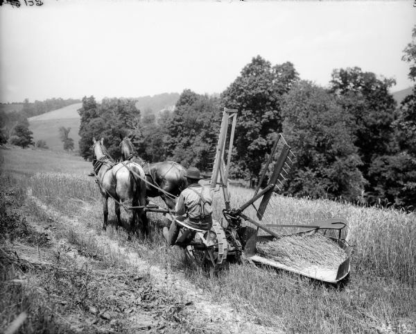Rear view of farmer harvesting grain near woodline with a self-rake reaper drawn by two horses.