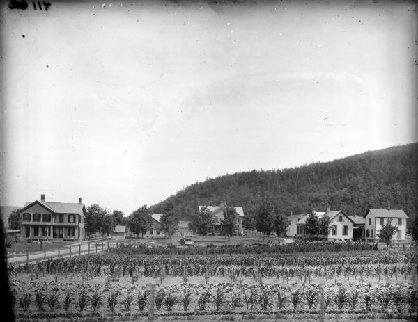 Several farmhouses and farm buildings are located near each other in a rural setting. A field with corn(?) and lettuce(?) is in the foreground. A man is operating a horse-drawn McCormick grain binder, and a small group of people are sitting under a tree near one of the farmhouses.