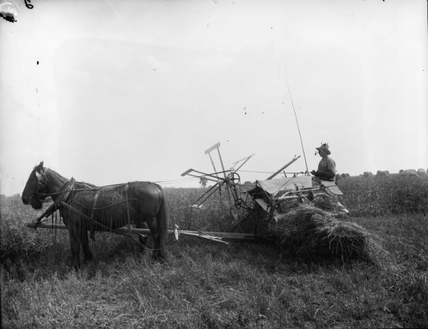 A farmer is operating a horse-drawn McCormick grain binder in a field. Several bundles of grain can be seen in the distance.