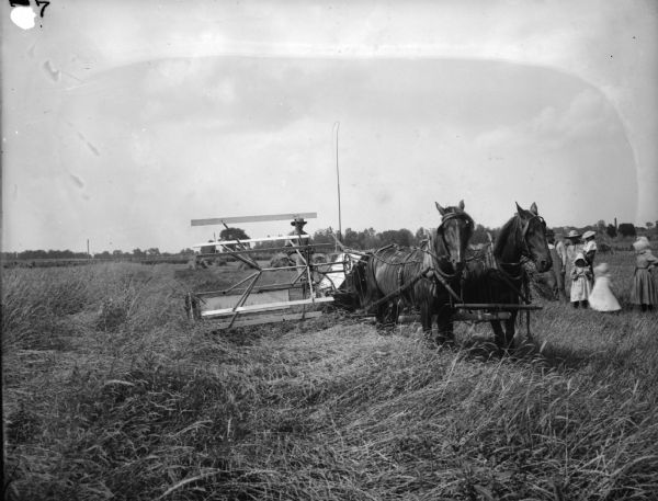 A farmer is operating a horse-drawn McCormick grain binder in a field. A group of people, including two adults and four children, are looking on. The female children are wearing bonnets and dresses.