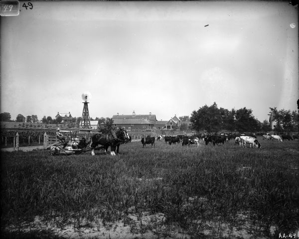 A farmer operating a horse-drawn binder in a field, while cattle are grazing nearby. A farmhouse, several farm buildings and a windmill are in the distance.