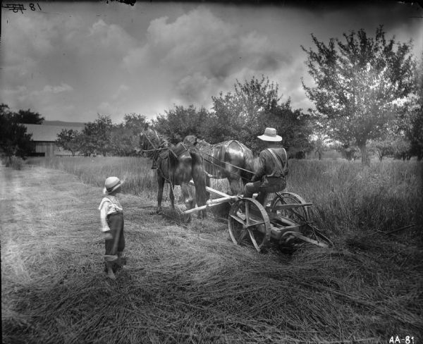 A farmer is sitting on a horse-drawn mower in a field of grain, while a boy is looking on from the side. Both the man and boy are wearing hats and suspenders; the boy is barefoot. A wooden farm building can be seen behind some trees.