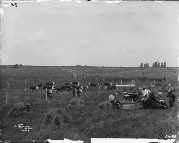 Several men appear to be examining a horse-drawn McCormick grain binder as it sits in a field. One man in work clothes is sitting idle on the seat of the binder while another man, also in work clothes, is reaching out to touch one of binder's wheels. At the other end of the binder, two men in suits appear to be inspecting the binder's gear mechanisms. Several other men are standing in the field. There is a herd of long horn cattle in a fenced area adjacent to the field in which the men are working.