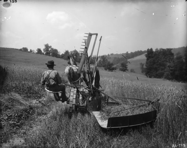 Rear view of farmer operating a horse-drawn self-rake reaper harvesting grain in a hilly field.