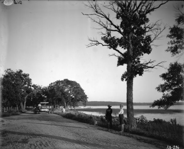 Two boys are standing at the side of a road near a lake with a dog. One boy is watching a man driving a horse-drawn McCormick binder, while the other boy is looking in the direction of the camera. Two cows are crossing the road behind the binder, moving toward the lake.