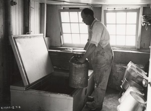 A man lifts a milk canister into a McCormick-Deering Milk Cooler.  Light from two windows illuminates the room, and buckets sit along the wall opposite the cooler, which is set into the ground.