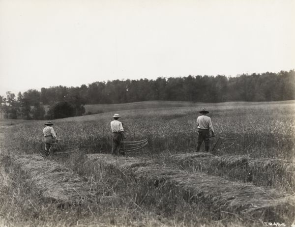 A production still for the Fox Hearst film "Romance of the Reaper". The film was produced by International Harvester at Walnut Grove to celebrate the Reaper Centennial. Three men with their backs to the camera cut grain in a field with cradles.