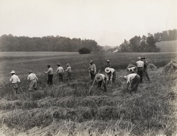 A production still for the Fox Hearst film "Romance of the Reaper". The film was produced by International Harvester at Walnut Grove to celebrate the Reaper Centennial. A group of thirteen men harvest grain in a field with cradles.