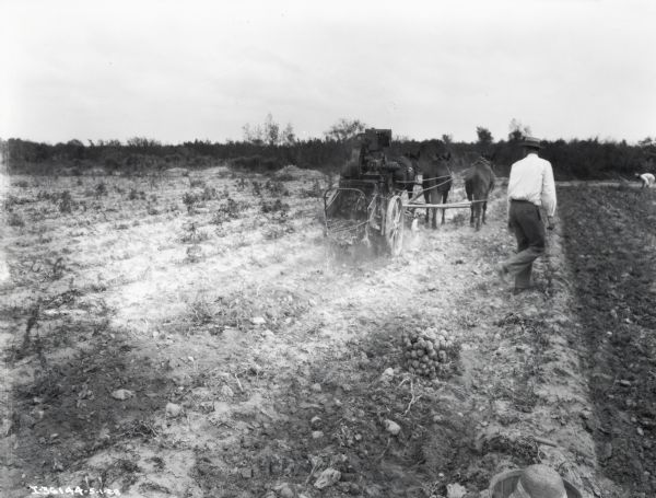 Potato digger drawn by three horses in field near a man wearing a white shirt with collar and boater hat. A wire basket full of potatoes and a bushel basket with potatoes and hat(?) are in the foreground. 
