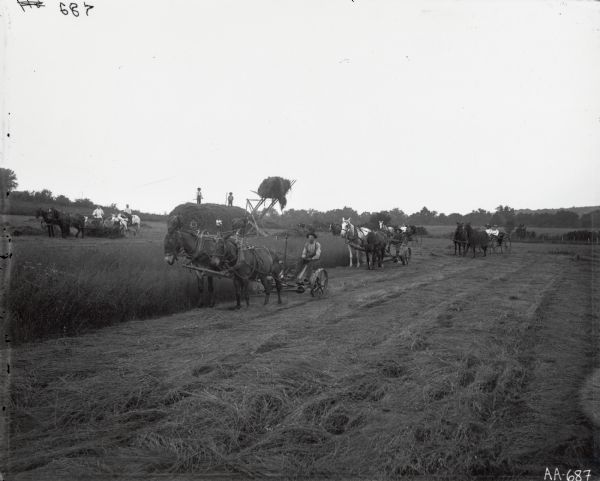 Men, women, horse-drawn mowers and buggies in a field. A horse-powered hay stacker is in the background with two men on a large haystack.