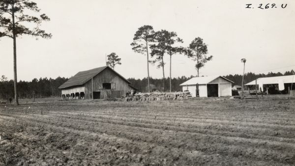 Farm of Frank Johns of Hastings, Florida. Two men wearing hats are standing among stacks of filled burlap bags. There is a birdhouse on the right atop a long pole.