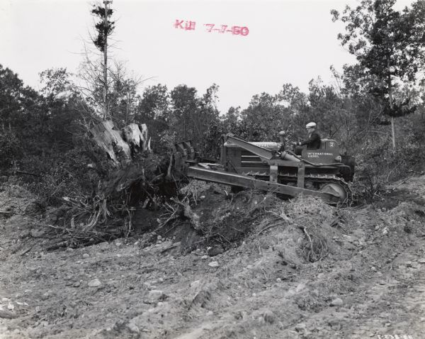 A man operates an International TD-14 TracTracTor (crawler tractor) to bulldoze a large tree stump.