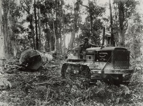 Man pulls a large log with an International TD-40 TracTracTor (crawler tractor) in Australia. Original caption reads: "TD-40 TracTracTor logging in Australia." A man is driving a crawler tractor pulling a log through foliage and trees.