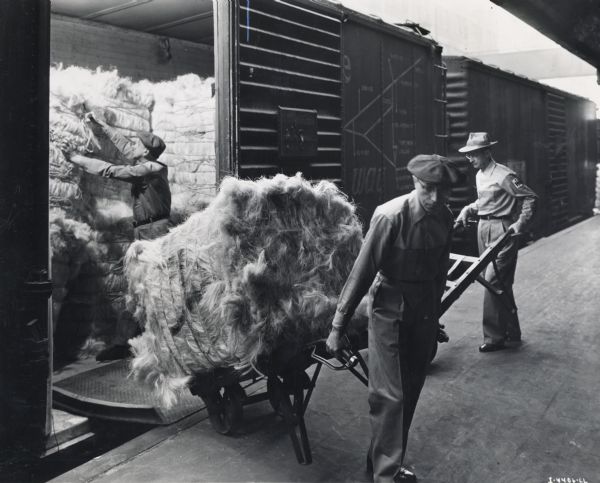 Three men unload sisal fiber (fibre) from a train at an International Harvester twine mill. Original caption reads: "Unloading fiber at an International Harvester twine mill from various parts of the world -- from Mexico, Cuba, Africa, Brazil, Haiti, the Philippine Islands, Central America, and elsewhere. This variety of sources provides fibers to produce the proper blends required to make baler and binder value to the IH quality standard."