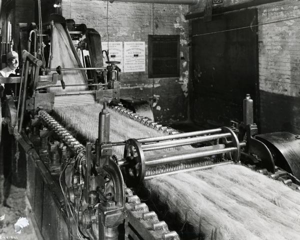 Factory worker standing behind a machine to process sisal fiber, possibly at the McCormick Twine Mill. There are safety posters on the back wall. Original caption reads: "Combing the sliver. This view from above shows a sliver on slow and fast chains of the fifth spreader or combing machine. The pin reel in the center presses fiber into the combing pins for more effective combing by the fast chain. The long slivers or streams of fiber continue to get smaller, straighter, and more even as they pass from one combing machine to another. There are eight combing operations in IH twine manufacture, to assure straightening the sliver as desired-for a smooth, even-running, uniform product."