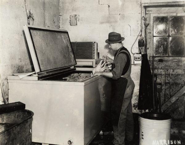 Hugh Coulter puts poultry in a McCormick-Deering cooler. Original caption reads: "Mr. Coulter is a dealer in dressed poultry.  In a short time Coulter had built a big business delivering dressed chicken to restaurants, hotels, etc. Prior to the purchase of this cooler he used a tank filled with cold water."