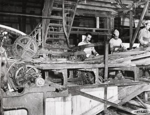 Several men feed sisal leaves into the decorticating machine, most likely at an International Harvester plantation in Cuba. Original caption reads: "Here the leaves are fed into the decorticating machine. The fiber is extracted and the leavings are hauled away."