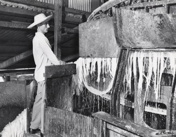 Factory worker with a straw hat oversees sisal fibers as they pass out of a decorticating machine. possibly at an International Harvester plantation in Cuba. Original caption reads: "Fiber passing out of the decorticating machine. From here it goes to the drying rack."