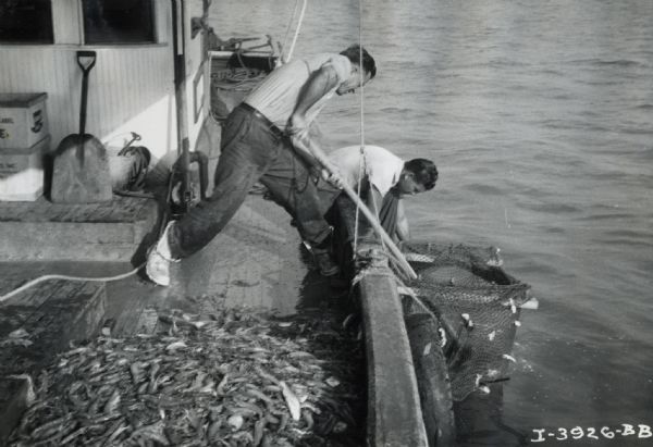 Two men lifting a net full of fish over the side of a boat. The original caption reads: "Shrimp fleet."