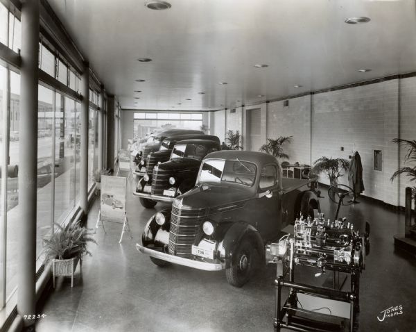 Trucks on display in the showroom of International Harvester's Indianapolis Branch House. A row of show windows is on the left and in the background. A sidewalk and street borders the building.