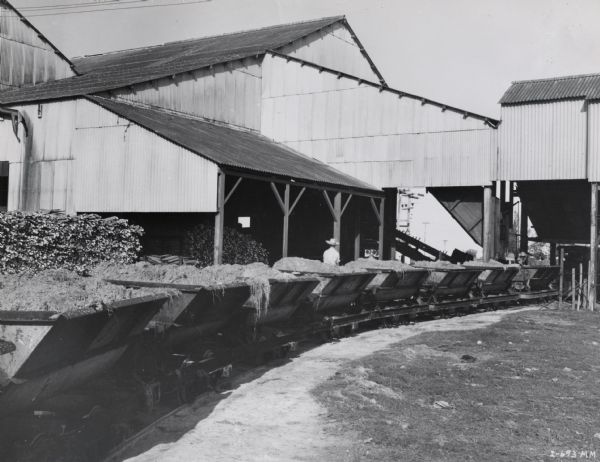 Several cars of bagasse outside a processing factory at an International Harvester sisal plantation in Cuba. Caption on photograph reads: "Cars of bagasse ready to go to the dump. This is the material that is left after the sisal fiber is extracted in the decorticating machine."