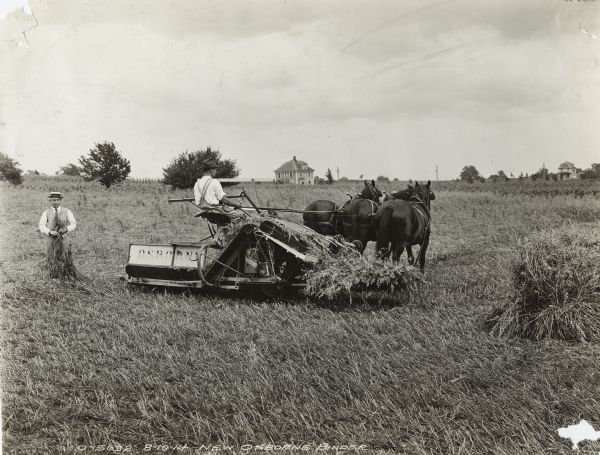 A man sitting on top of an Osborne grain binder pulled by three horses.  A man in a straw hat, tie, and vest is standing to the left holding cut grain. Houses are in the background. A note on the back states: "Down Oat."