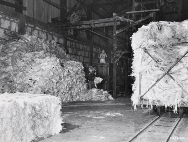 Several workers bundle fiber in a building on an International Harvester sisal plantation in Cuba. Nearby, there is a large wagon on tracks loaded with fiber. Original caption reads: "Scene in the fiber baling building. Each bale is compressed to a weight of about 500 pounds."