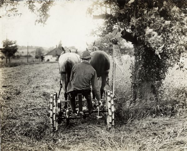 Rear view of a man operating an Osborne horse-drawn mower near a tree. The man is raising the sickle-bar as he is passing the tree.