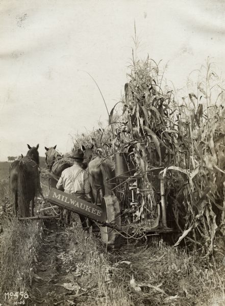 Rear view of a farmer operating a horse-drawn Milwaukee Corn Binder in a field.