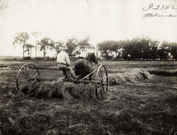 Farmer operating a horse-drawn Milwaukee hay rake.