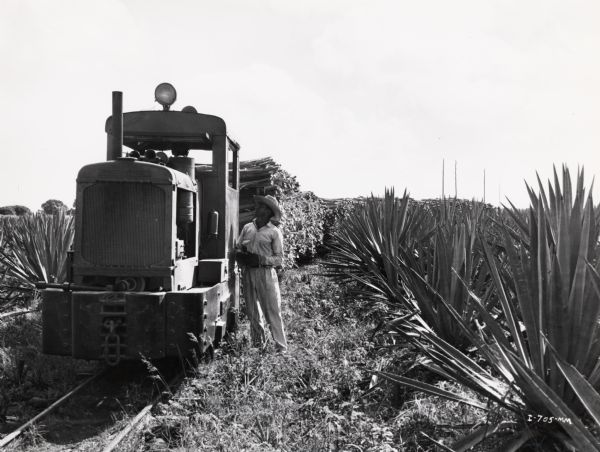 A worker stands next to a tractor train on an International Harvester sisal plantation in Cuba. Original caption reads: "Tractor train of leaves ready to leave the field and be hauled to the decorticating plant for extraction of the fiber."