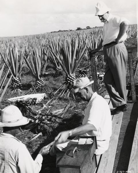 A manager pays a field worker on an International Harvester sisal plantation in Cuba. Original caption reads: "Mr. Monroe paying the field workers."
