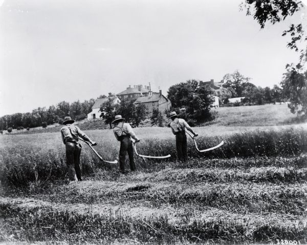 Three men harvesting grain with scythes. The men appear to be in period costume and are likely re-enacting harvesting methods of the first half of the 18th century. Buildings are in the background.