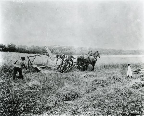 A man operates a horse-drawn self-rake reaper in a field while another follows behind with a rake. A girl approaches from the side with a jug in her hand.