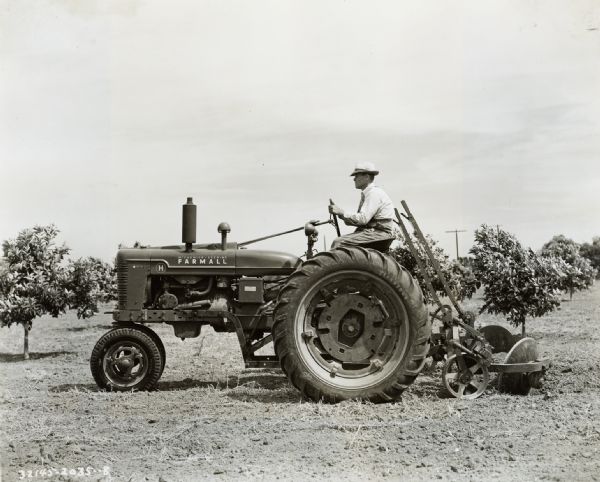 J.C. Lester uses a McCormick-Deering Farmall H tractor to border a citrus grove in preparation for irrigation.